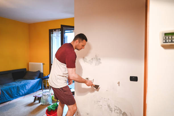 Crawl Space Mold Removal in Royalton, MN